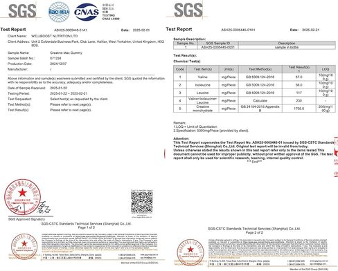 WellBoost Creatine Gold - 5000 مجم كرياتين مونوهيدرات، علكات نباتية خالية من السكر لنمو العضلات الخالية من الدهون، والقدرة على التحمل، والتعافي والطاقة (كمية تكفي لمدة شهر واحد) بنكهة الفراولة والموز. in Saudi Arabia