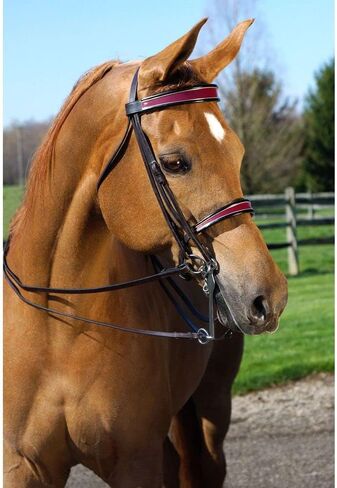 Joseph Sterling Celebration Traditional Browband/Caveson Set | Size Cob | Color Burgundy/Black/Gold | Enhance Horse's Look | Colorful Accessory | J&E Sedgwick Leather | Fits Most Bridles in Saudi Arabia
