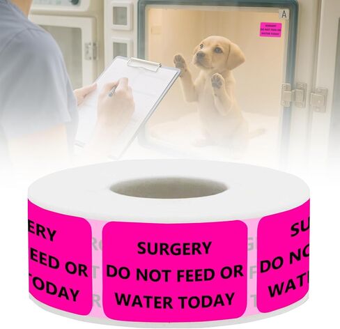 Surgery DO NOT Feed OR Water Veterinary Labels - Pet Care Instruction Stickers for Animal Clinics, Shelters, Pet Stores, 500 PCS/Roll (Surgery DO NOT Feed OR Water, 1.5" L x 1" W) in Kuwait