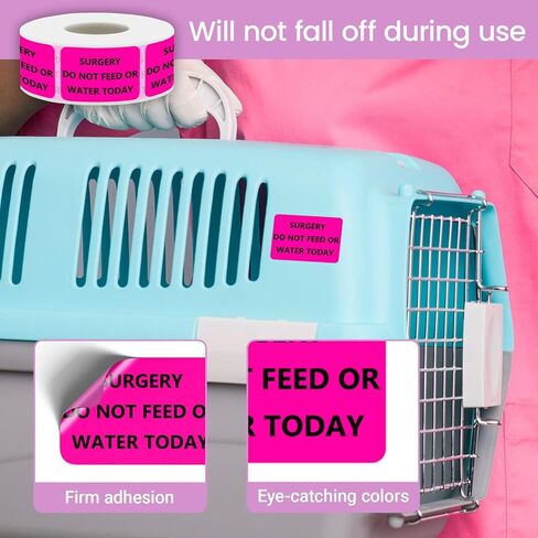 Surgery DO NOT Feed OR Water Veterinary Labels - Pet Care Instruction Stickers for Animal Clinics, Shelters, Pet Stores, 500 PCS/Roll (Surgery DO NOT Feed OR Water, 1.5" L x 1" W) in Kuwait