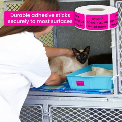 Surgery DO NOT Feed OR Water Veterinary Labels - Pet Care Instruction Stickers for Animal Clinics, Shelters, Pet Stores, 500 PCS/Roll (Surgery DO NOT Feed OR Water, 1.5" L x 1" W) in Kuwait