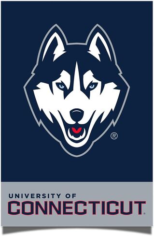 ملصق جامعة صبار الصحراء في كونيتيكت UConn Huskies مقاس 11 × 17 بوصة ديكور مكتب الغرفة ديكور رسمي للمروحة (11 × 17 بوصة، الإصدار 1A) in Saudi Arabia
