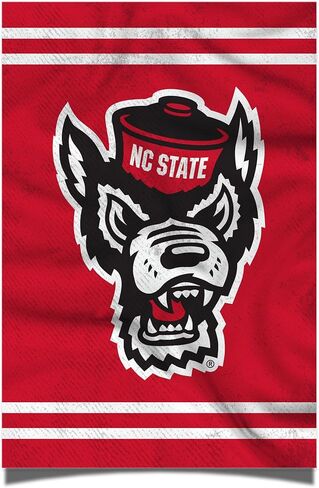 Desert Cactus North Carolina State University Poster NCSU Wolfpack NC State 11 x 17 Inch Room Office Décor Decoration Official Fan Gear (11x17,Version 3) in Saudi Arabia