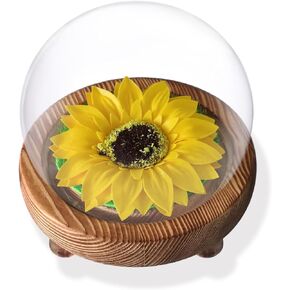 Mothers Day Sunflower Gifts for Women, Artificial Flowers in Glass Dome with Lights, Birthday Gifts for Her Mom Friends Valentines Wedding Mothers Anniversary Thanksgiving Christmas Day Present