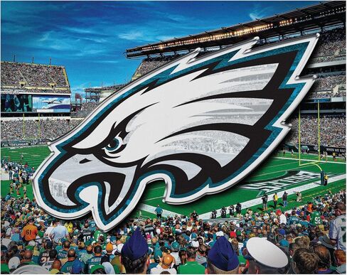 foco NFL Unisex-Adult NFL Team Logo Canvas Wall Sign in Saudi Arabia