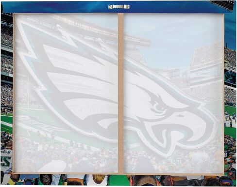 foco NFL Unisex-Adult NFL Team Logo Canvas Wall Sign in Saudi Arabia