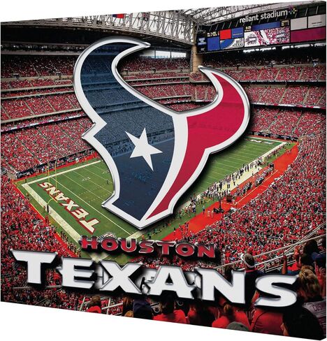 foco NFL Unisex-Adult NFL Team Logo Canvas Wall Sign in Saudi Arabia