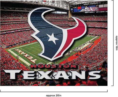 foco NFL Unisex-Adult NFL Team Logo Canvas Wall Sign in Saudi Arabia