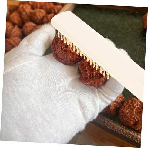 Ciieeo 3pcs Wooden Handle Copper Wire Brush for Rust Removal and Cleaning Wire Brushes for Scrubbing and Detailing for Woodworking and Restoration Projects in Saudi Arabia