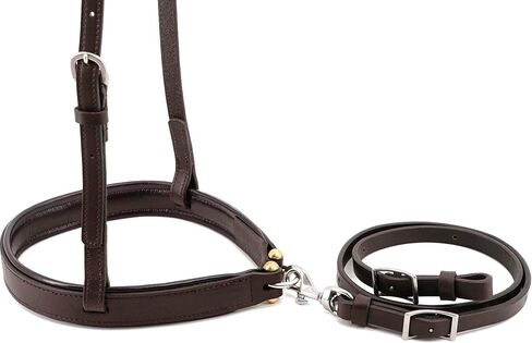 Horse Round Nose Caveson, Leather Padded Noseband with Adjustable Tie Down Strap in Kuwait