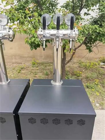 Two Taps Draft Beer Machines Cooler Machine for Restaurants in Saudi Arabia
