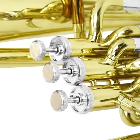 Beginner Tuba Three Key Euphonium in Bb A Beginner and Professional Playing Instrument in Kuwait