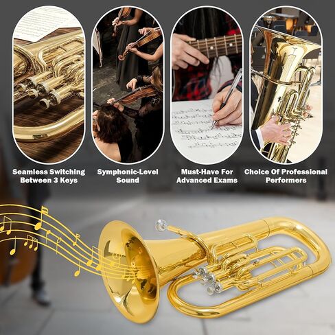 Bb Brass Euphonium - أداة رئيسية احترافية ومتوسطة ذات 3 صمامات Bb - لمسة نهائية من طلاء الذهب مع مكابس من الفولاذ المقاوم للصدأ - تشتمل على حافظة صلبة وقطعة فم وقفازات وقماش تلميع in Kuwait
