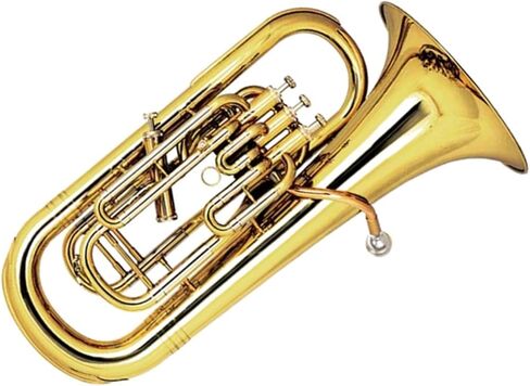 أداة الأداء المبتدئة Tuba Euphonium B المسطحة المطلية بالذهب in Kuwait