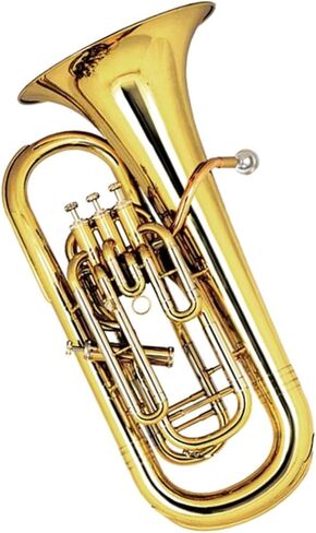 أداة الأداء المبتدئة Tuba Euphonium B المسطحة المطلية بالذهب in Kuwait
