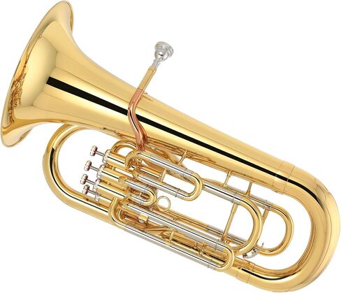 أداة أداء التوبا للمبتدئين B، طلاء ذهبي مسطح in Kuwait