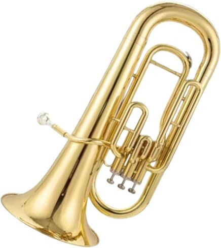 المبتدئة توبا يوفونيوم في الأداء الاحترافي المسطح B in Kuwait