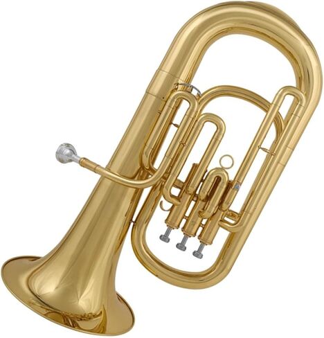 Beginner Tuba Upright Euphonium in Bb Tone Brass Instrument in Kuwait