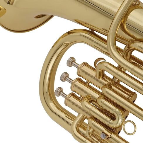 Beginner Tuba Upright Euphonium in Bb Tone Brass Instrument in Kuwait