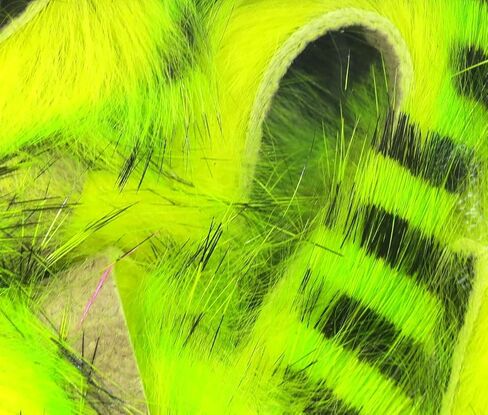 Hareline Magnum Tiger Barred Strips #14 Black Barred Chartreuse على FL Yellow in Kuwait