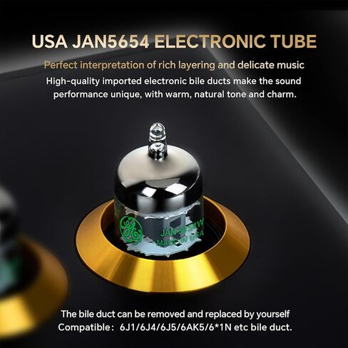 مضخم صوت أنبوبي VE-200، مضخم طاقة ستيريو منزلي بقناتين لمضخم الصوت HiFi، مكونات للصوت الدافئ والشفاف، متوافق مع DVD/CD، MP3، TV Box، الكمبيوتر، الهاتف الخلوي in Kuwait