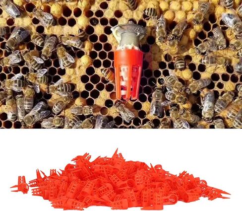 Pssopp 250Pcs Queen Bee Cages, and Reliable, Excellent Design, Premium Material, Easy to Use, with Double Spikes for Bee Queens, Protective Cell Cover for Beekeeping Rearing Cup Kit in Saudi Arabia