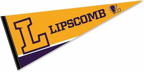 College Flags & Banners Co. Lipscomb Bison Wordmark Pennant Flag in Kuwait