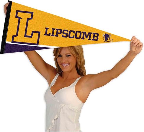 College Flags & Banners Co. Lipscomb Bison Wordmark Pennant Flag in Kuwait