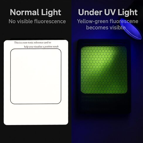 مجموعة أدوات اختبار الرصاص - الكل في واحد للكشف عن الرصاص في الأطباق والطلاء والألعاب، سائل اختبار زجاجة واحدة + تحليل معملي مجاني، نتائج سريعة في المنزل in Kuwait