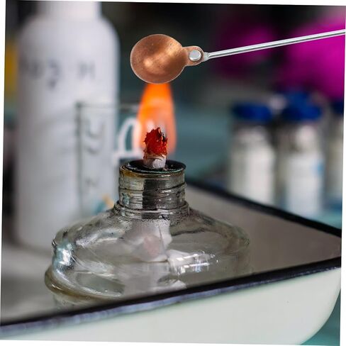 10pcs Combustion Spoons Burning Spoons for Chemical Experiments Laboratory Supplies in Saudi Arabia