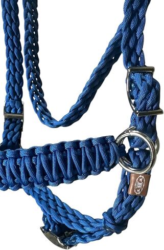 حصان لجام حصان بدون قطع، سحب جانبي، هاكامور، أزرق ملكي in Kuwait