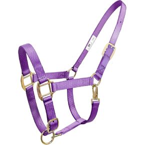 رسن حصان تيريلين، رسن حصان بتصميم، رسن بإبزيم معدني قابل للتعديل للخيول، تصميم معبد من طبقتين، ثلاثة in Kuwait