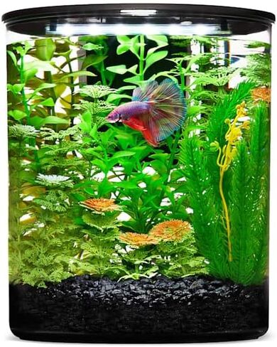 Imagitarium Plastic Cylinder Betta Aquarium 2.5 Gallon in Kuwait