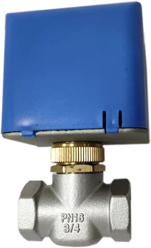 3/4" Motorized Electric Stainless Steel Globe Valves 2 Wire AC220V Two Way Stop Shut-off Valve in Saudi Arabia