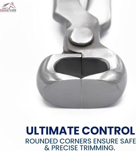 10 بوصة مصغرة الحافر nipper | Chrome Vanadium Steel ، أداة farrier غير الربيعية للمهر ، Shetland ، Miniature ، Donkey & Pony Hoof Care | قبضة مريحة وشفرات الدقة in Kuwait