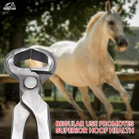 10 بوصة مصغرة الحافر nipper | Chrome Vanadium Steel ، أداة farrier غير الربيعية للمهر ، Shetland ، Miniature ، Donkey & Pony Hoof Care | قبضة مريحة وشفرات الدقة in Kuwait