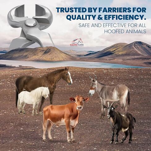 10 بوصة مصغرة الحافر nipper | Chrome Vanadium Steel ، أداة farrier غير الربيعية للمهر ، Shetland ، Miniature ، Donkey & Pony Hoof Care | قبضة مريحة وشفرات الدقة in Kuwait