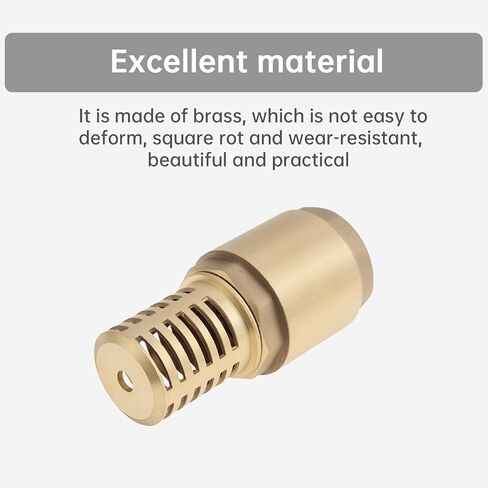 1 Inch Brass Foot Valve with Filter, Non Return Spring Vertical Check Valves Bottom Valve for Water Pump, Prevent Backflow, Irrigation, Industrial DN25 in Kuwait