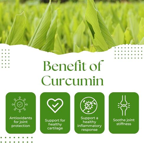 Turmeric Curcumin 750mg, Natural Support for Joint – Non-GMO – 60 Capsules in Saudi Arabia