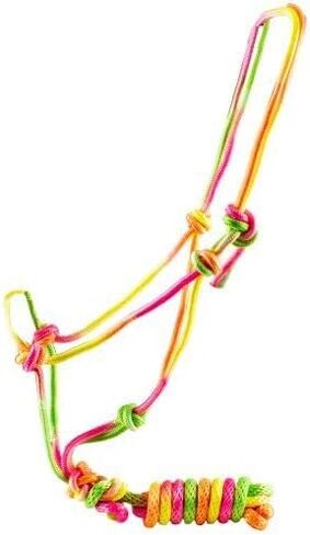 Rainbow Cowboy Knot Halter w/Lead in Saudi Arabia