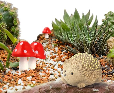 Coobigo 6 Pack Mini Mushroom & Resin Hedgehogs التماثيل الفطر الخشبي الصغرى للحديقة الخيالية. in Kuwait
