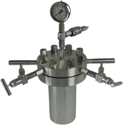 Stainless Steel Hydrogenation Reactor(250ml 304) in Saudi Arabia