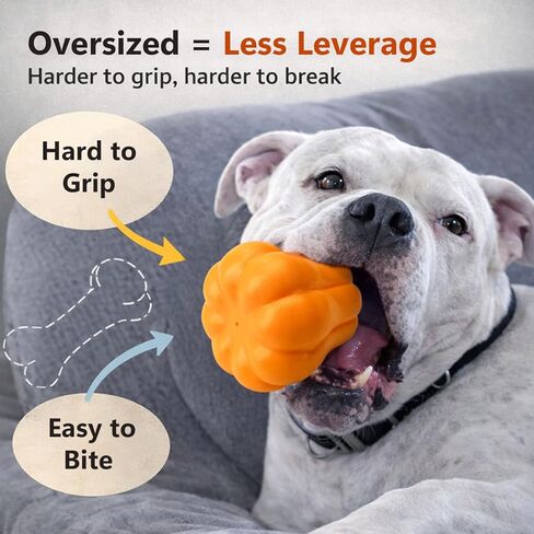 ألعاب الكلاب للمضغات العدوانية - ألعاب مضغات صوتية صعبة للكلاب الكبيرة التفاعلية الداخلية والخارجية للسباحة الصيفية وجلبها in Kuwait