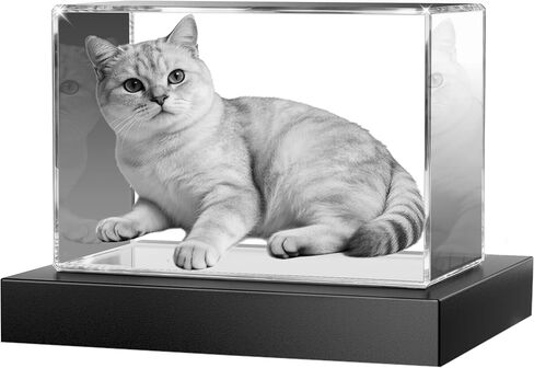 هدايا كريستال صور و Cat Memorial Gifts الشخصية مع صورتك الخاصة لمحبي الحيوانات الأليفة ، وصورة محفورة بالليزر ، والبلورات المحفورة ، والهدايا التذكارية المخصصة للحيوانات الأليفة (المناظر الطبيعية ، الصغيرة) in Kuwait