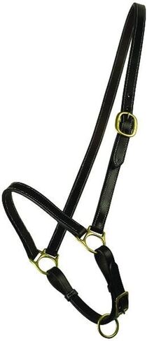 Gatsby Grooming Halter Horse Havana in Kuwait