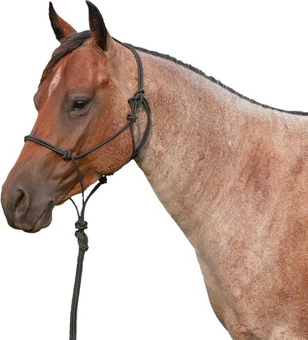 رسن حبل فاخر من شركة Classic Rope Company وحبل رصاص ممتاز بطول 9 أقدام in Saudi Arabia