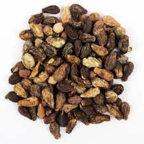 Aacure Shivlingi Beej 3.5oz | 100gms | Traditional Beej Cleanly Processed & Pure in Saudi Arabia