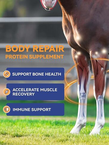 Equine Body Repair Protein Supplement Speed up Muscle Recovery After Exercise Promote Muscle Growth and Healthier Joints in Kuwait