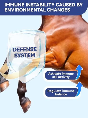 Equine Body Repair Protein Supplement Speed up Muscle Recovery After Exercise Promote Muscle Growth and Healthier Joints in Kuwait