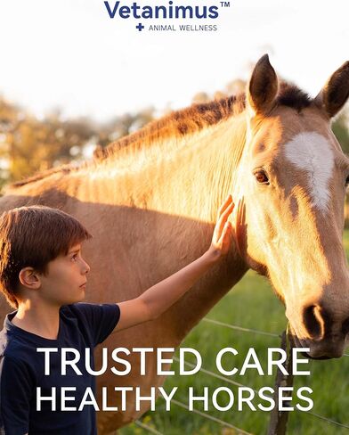 Equine Body Repair Protein Supplement Speed up Muscle Recovery After Exercise Promote Muscle Growth and Healthier Joints in Kuwait